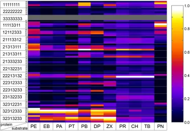 Figure 1.2: Summary of normalized activities for all 56 enzymes acting on 11 substrates