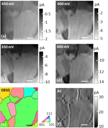 Figure 3. SECCM and EBSD maps of a Pt electrode. (a) – (d) Spatially resolved surface 
