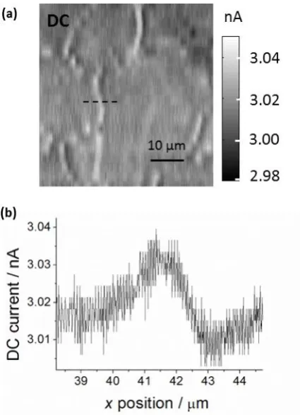Figure 4 – SECCM DC conductance map at an electrode potential of + 0.4 V. (a) Typical DC 