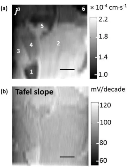 Figure 5.  Tafel analysis of SECCM images. (a) Spatially resolved exchange current 