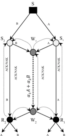  Figure 1  The multicast scenario studied model 
