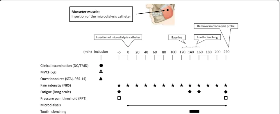 Fig. 1 Flow chart of the experimental setting. The figure shows the time points (minutes) for the clinical examination (DC/TMD), assessment ofMVCF (kg), questionnaires (STAI and PSS-14), pain intensity (NRS), fatigue (Borg scale), pressure pain threshold (PPT), microdialysis sampling andtooth-clenching in 20 women with temporomandibular disorder myalgia (Patients) and 20 pain-free healthy aged-matched women (Controls).DC/TMD = Diagnostic criteria for TMD; STAI = State-Trait Anxiety Inventory; PSS = Perceived Stress Scale