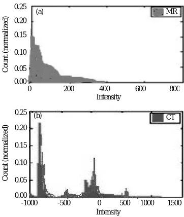 Fig. 5: Histogram of 20 MR and CT images