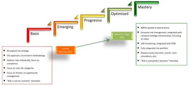 Figure 1: RBPlat ERM maturity model 