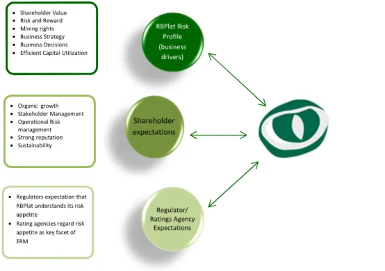 Figure 5: RBPlat Risk Appetite Input Considerations