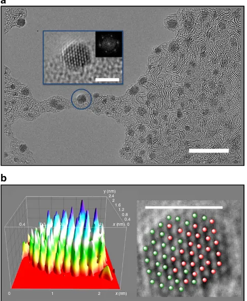 Figure 3 | Ru-Os 3D-nanocrystals from RuOsMs micelles. (difference of contrast between Ru, Os and the background (each peakcorresponds to an atom, and the height/intensity of the peaks is dependenton the atomic TEM contrast; arbitrary colours), also depict