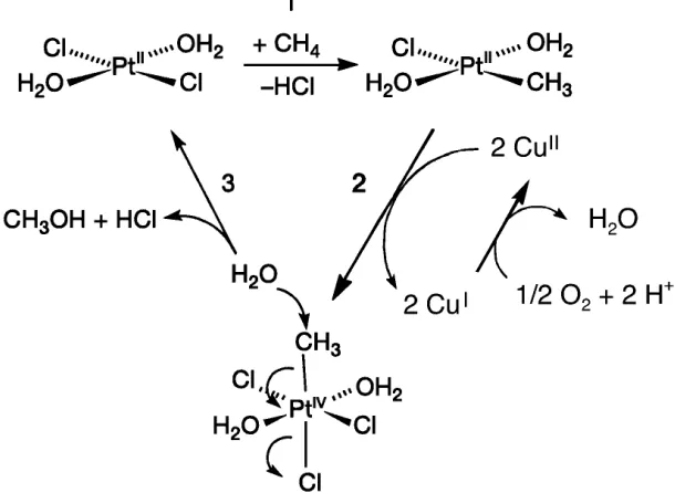 Figure 2.2:  Schematic of the mechanism of modified Shilov oxidation detailing the three main steps 1) C-H bond activation 2) oxidation and 3) reductive elimination
