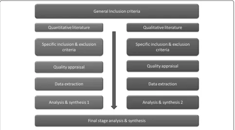 Figure 1 Methodological process for systematic review.