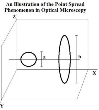 Figure 1.2: An illustration of the point spread function in optical microscopy. In this figure, a circular object occupying ‘a’ frames in the Z-axis is shown to occupy ‘b’ number of frames, where b > a