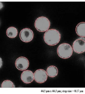 Figure 1.3 – Confocal image of particles analyzed using imfindcircles in Matlab. All the particles (bright circular discs) in the image are marked by a circle using the imfindcircles function