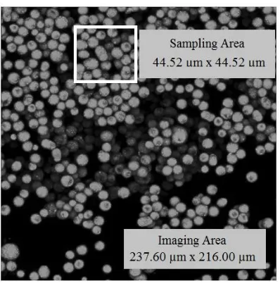 Figure 2.2 – CLSM Image of an area covered with toner particles. The imaging area is of the dimensions 237.60 μm by 216.00 μm