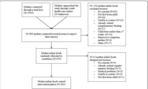 Fig. 2 Flowchart of the inclusion phase