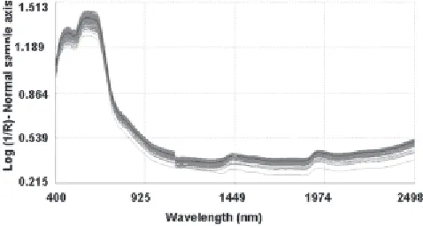 Fig. 1. Vis/NIR average raw spectra recorded on transgenicand non-transgenic samples of cotton seeds.