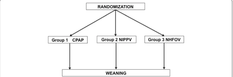 Fig. 2 Basic study design. Neonates will stay on the assigned intervention until the final weaning