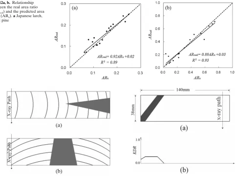 Fig. 12a, b. Relationship between the real area ratio 