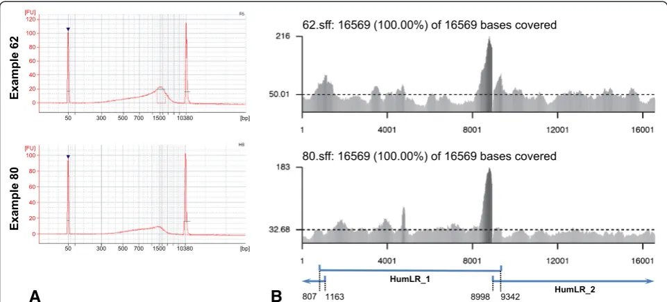 Figure 2 Example fragmentation profiles and coverage plots.products and the associated numbers the positions of the ends of those products (see Table 1)