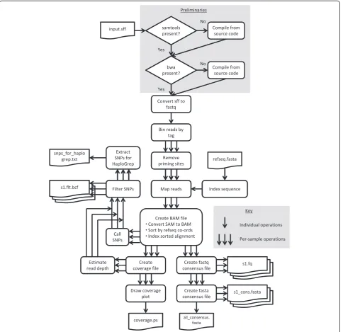Figure 3 Steps in the bioinformatics pipeline. The pipeline automatically converts a single .sff input file from a 454 run containing the rawsequencing data for one or more individuals into a variety of useful output files, notably including per-individual
