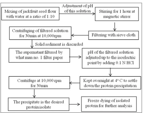 Figure 1. Flow Chart for protein isolation from jackfruit seed flour. 