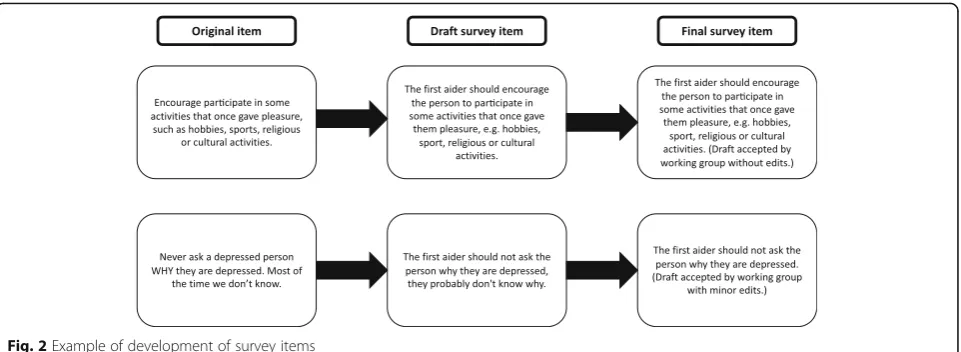 Fig. 2 Example of development of survey items