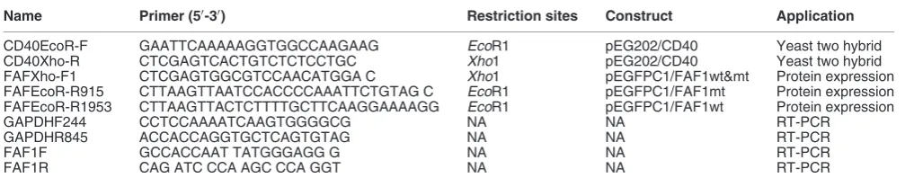 Table 1 Oligonucleotides used in this study
