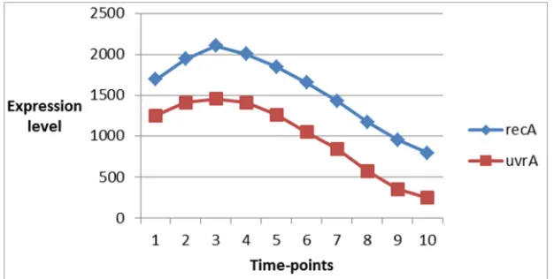 Figure 1. Expression patterns of two genes recA and uvrA in ecoli dataset having the same expression trend