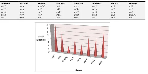Table 4. Co-expression Modules of Ecoli SOS DNA Repair Data. 