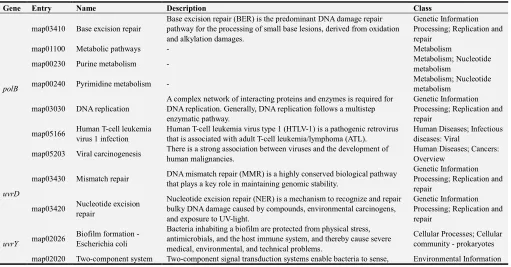Figure 5. Co-expression network of Ecoli SOS DNA Repair Data. 