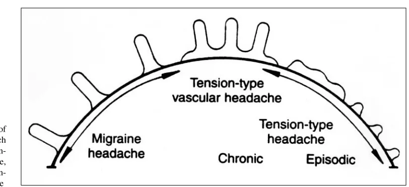 Fig. 10 The continuum of