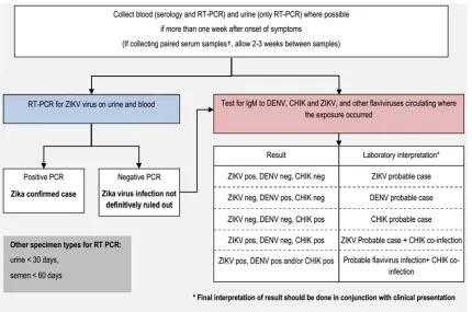Figure 1. Testing algorithm for infection within 7 days of contact [Source: WHO].
