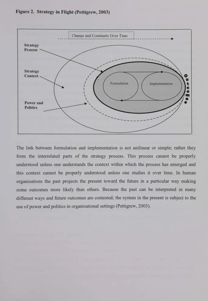 Figure 2. Strategy in Flight (Pettigrew, 2003)