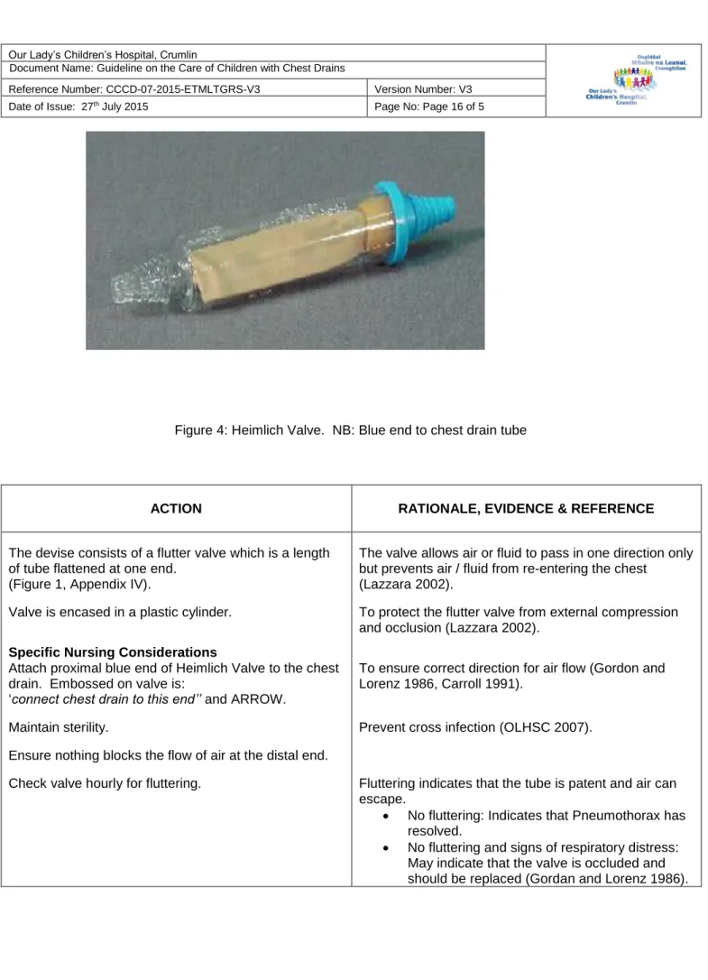 Figure 4: Heimlich Valve.  NB: Blue end to chest drain tube 