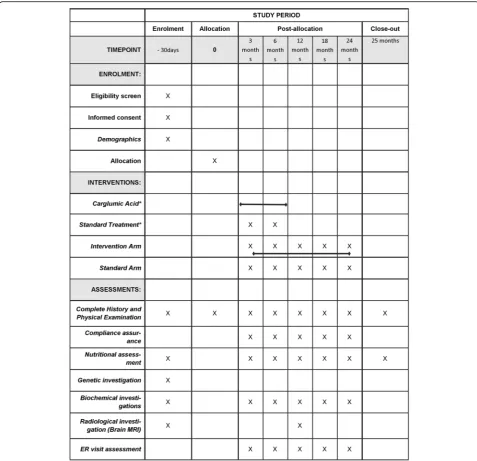 Fig. 1 The schedule of enrolment, interventions, and assessments. *indicates only for the key symbol used for the intervention