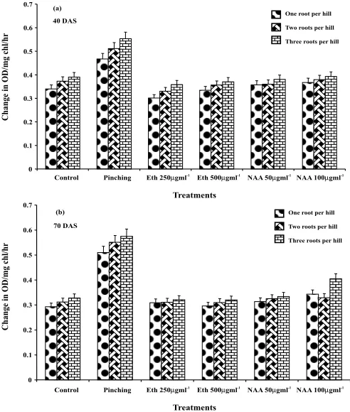 Fig. 3. Total soluble sugars in safed musli as influenced bynumber of roots and foliar application of PGRs
