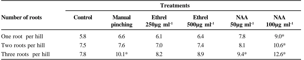 Table 2. Processed yield (g plant-1) as influenced by interaction of number of roots, pinching of inflorescenceand foliar application of PGRs.