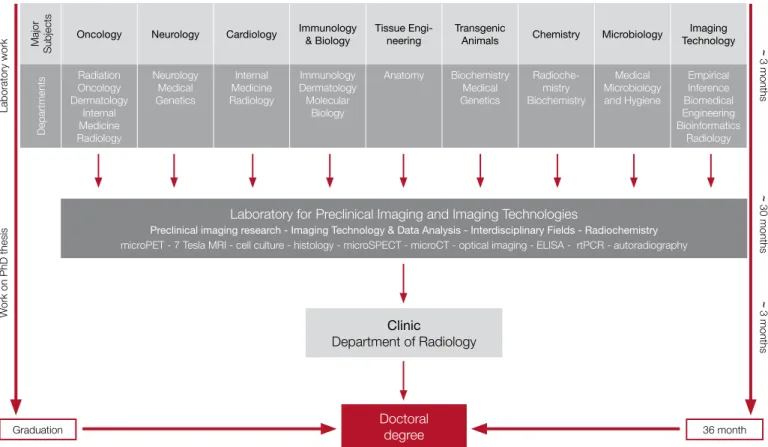 Figure 5: Organization of the graduate program .