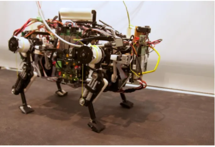 Fig. 3. Quadruped Oncilla 