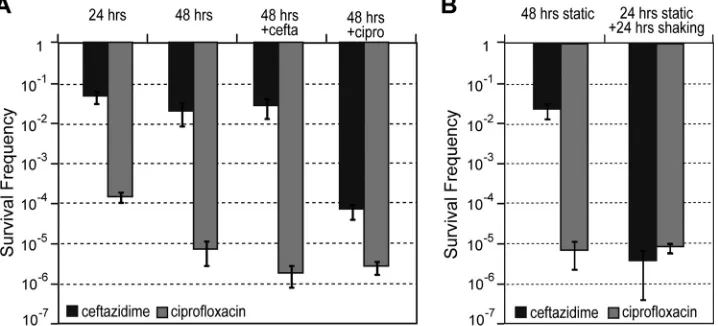 FIG 4 Elimination of anaerobic survivors. (A) Validation of the predicted antibiotic susceptibilities of different anaerobic persister populations was assessed byadding a second antibiotic to wells with bacteria that were previously challenged for 24 h wit