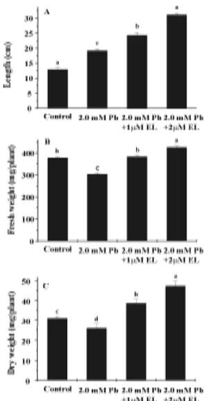 Fig. 1. Effect of 24-epibrassinolide (EL) on the seedling growth(A-C) of radish seedlings under Pb stress