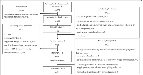 Fig. 1 Flow chart over the patients referred to the Department of Eating Disorders during 2013 and 2014