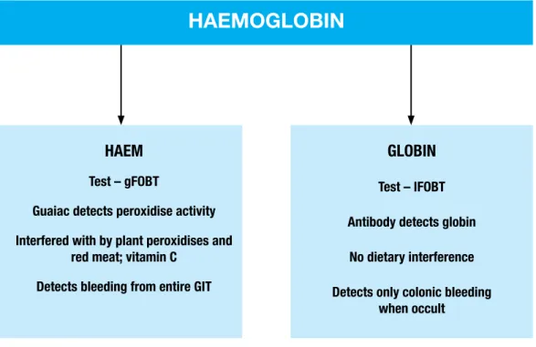Figure 3: Scheme for haemoglobin breakdown in faeces and associated  issues with the two FOBT technologies