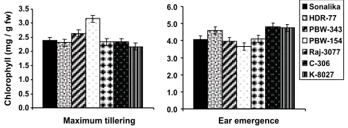 Fig. 1. Nitrate reductase activity in the leaves of different wheatgenotypes