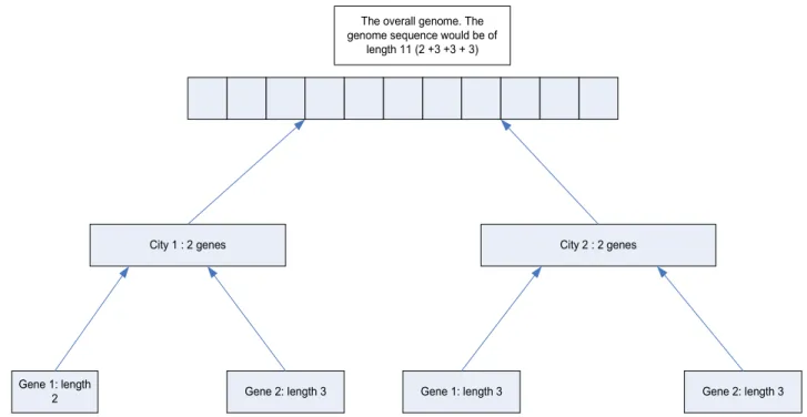 Figure 3: A graphical representation of a genome for a small civilization of two cities each with two city  development genes.