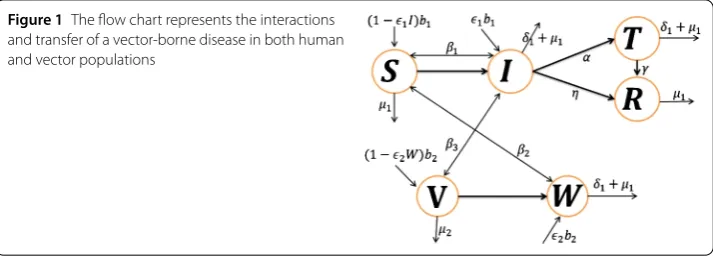 Figure 1 The ﬂow chart represents the interactions