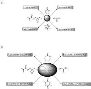 Figure 3: Preparation of graft-copolymers combining ATRP and ROP processes using 