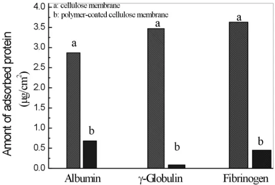 Figure 5: Adsorption of proteins onto (a) uncoated cellulose membrane and (b) cellulose 