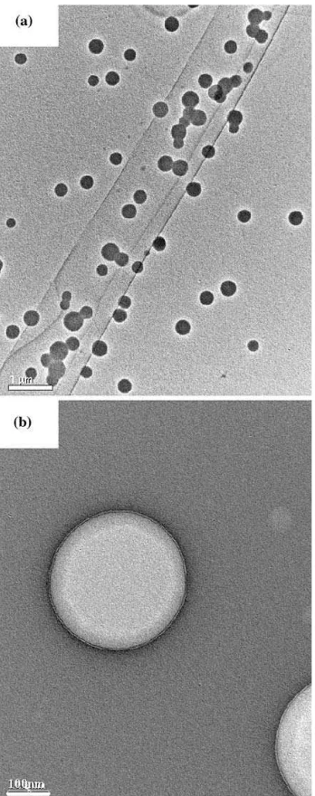 Figure 8: TEM image of spherical aggregates formed from PSt60-g-EC0.5 in acetone solution 