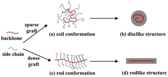 Figure 9: Molecular conformation and single chain structure of the graft copolymers58