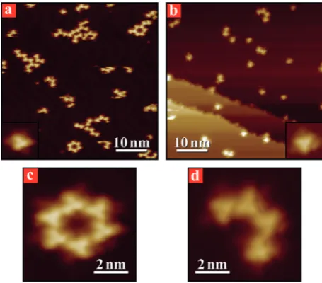 Figure 3. STM images of the assemblies formed by molecule 2 deposited onAu(111) (left panels) and Cu(111) (right panels) surfaces held at 140 K