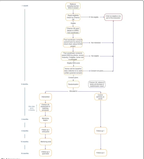 Fig. 1 Trial timeline