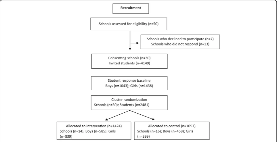Fig. 1 Study flow of the HBI program